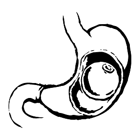 16_1355217728_1 16_1355217728_1