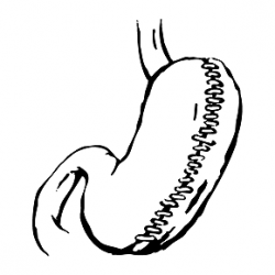 gastric plication gastric plication