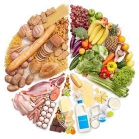food plate food plate