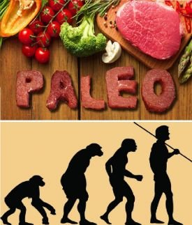 food evolution food evolution
